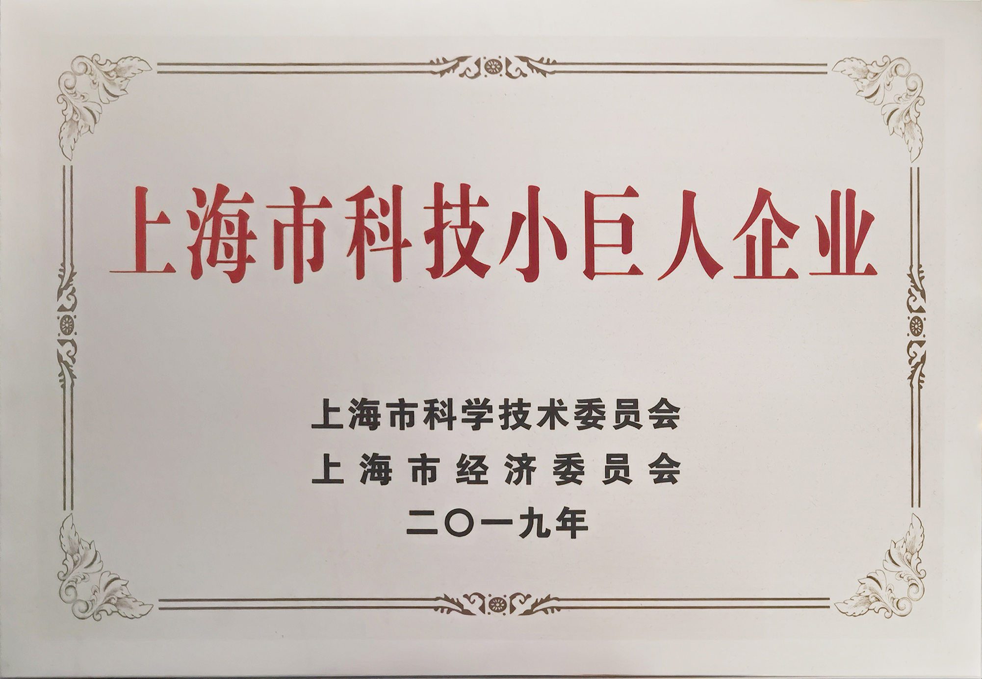 上海市科技小巨人企業(yè)